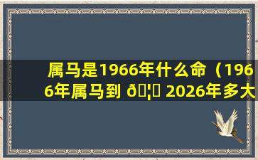 属马是1966年什么命（1966年属马到 🦁 2026年多大）